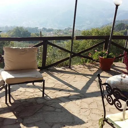 Guest house Locanda Verde *